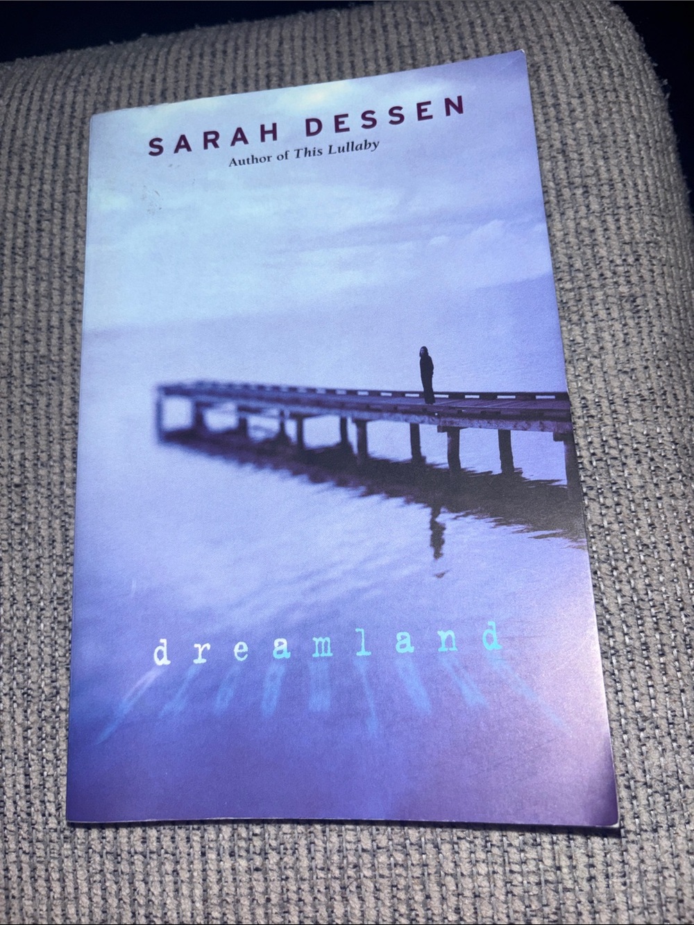 Sarah Dessen "Dreamland" Paperback Book - Blue Cover